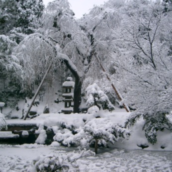 Kenrokuen snow scene